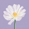 Minimalist Line Art of Lavender Sprig in Upward Bloom