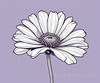 Minimalist Line Art of Lavender Sprig in Upward Bloom