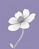 Minimalist Line Art of Lavender Sprig in Upward Bloom