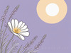 Minimalist Line Art of Lavender Sprig in Upward Bloom