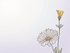 Minimalist Line Art of Lavender Sprig in Upward Bloom