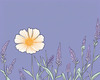 Minimalist Line Art of Lavender Sprig in Upward Bloom