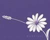 Minimalist Line Art of Lavender Sprig in Upward Bloom