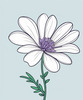 Minimalist Line Art of Lavender Sprig in Upward Bloom