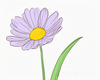 Minimalist Line Art of Lavender Sprig in Upward Bloom