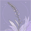 Minimalist Line Art of Lavender Sprig in Upward Bloom