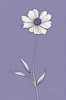 Minimalist Line Art of Lavender Sprig in Upward Bloom