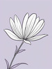 Minimalist Line Art of Lavender Sprig in Upward Bloom