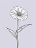 Minimalist Line Art of Lavender Sprig in Upward Bloom