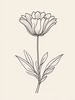 Minimalist Line Art of Lavender Sprig in Upward Bloom