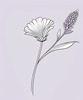 Minimalist Line Art of Lavender Sprig in Upward Bloom