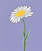 Minimalist Line Art of Lavender Sprig in Upward Bloom