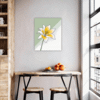 Lily Blossom Serenity Kitchen Demo
