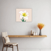 Lily Blossom Serenity Kitchen Demo