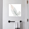 Lush Fern Frond Bathroom Demo