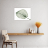 Lustrous Anthurium Leaf Kitchen Demo