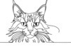 Minimalist Line Art of Playful Maine Coon Cat