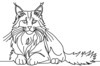 Minimalist Line Art of Playful Maine Coon Cat
