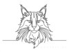 Minimalist Line Art of Playful Maine Coon Cat