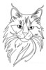 Minimalist Line Art of Playful Maine Coon Cat