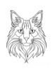 Minimalist Line Art of Playful Maine Coon Cat