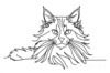 Minimalist Line Art of Playful Maine Coon Cat