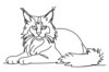 Minimalist Line Art of Playful Maine Coon Cat
