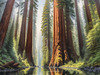 Printable Art of Redwood Giants with Reflective Stream in Forest Landscape