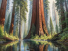 Printable Art of Redwood Giants with Reflective Stream in Forest Landscape