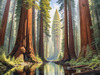 Printable Art of Redwood Giants with Reflective Stream in Forest Landscape