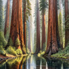 Printable Art of Redwood Giants with Reflective Stream in Forest Landscape