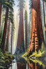 Printable Art of Redwood Giants with Reflective Stream in Forest Landscape