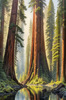 Printable Art of Redwood Giants with Reflective Stream in Forest Landscape