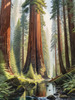 Printable Art of Redwood Giants with Reflective Stream in Forest Landscape