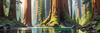 Printable Art of Redwood Giants with Reflective Stream in Forest Landscape