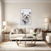 Maltese Silky Gaze Living Room Demo