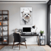 Maltese Silky Gaze Office Demo