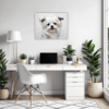 Maltese Silky Gaze Office Demo