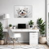 Maltese Silky Gaze Office Demo