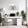 Maltese Silky Gaze Office Demo