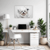 Maltese Silky Gaze Office Demo