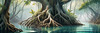 Printable Realistic Mangrove Forest with Submerged Roots in Clear Water