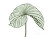 Minimalist Line Art of an Anthurium Leaf