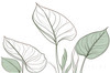 Minimalist Line Art of an Anthurium Leaf