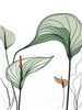 Minimalist Line Art of an Anthurium Leaf