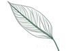 Minimalist Line Art of an Anthurium Leaf
