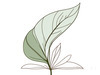 Minimalist Line Art of an Anthurium Leaf