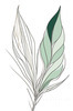 Minimalist Line Art of a Bird of Paradise Leaf