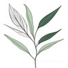 Minimalist Line Art of a Bird of Paradise Leaf