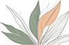 Minimalist Line Art of a Bird of Paradise Leaf